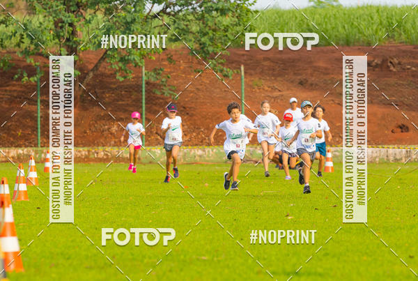 Buy your photos of the eventNATURAL RUN - 2019 on Fotop