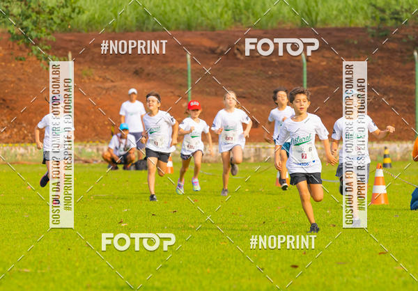 Buy your photos of the eventNATURAL RUN - 2019 on Fotop