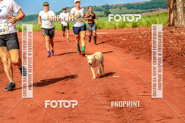 Achetez vos photos de l'vnementNATURAL RUN - 2019 sur Fotop