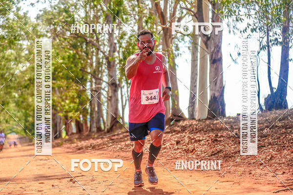 Acquista le foto dell'eventoNATURAL RUN - 2019 in Fotop