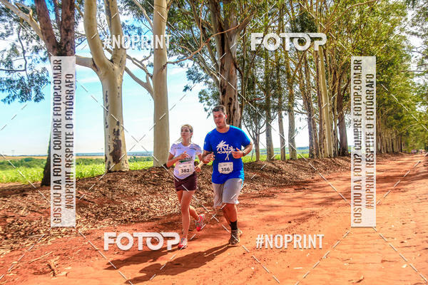 Acquista le foto dell'eventoNATURAL RUN - 2019 in Fotop