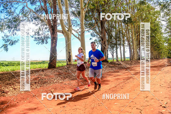 Acquista le foto dell'eventoNATURAL RUN - 2019 in Fotop