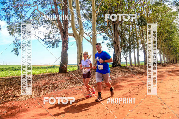 Acquista le foto dell'eventoNATURAL RUN - 2019 in Fotop