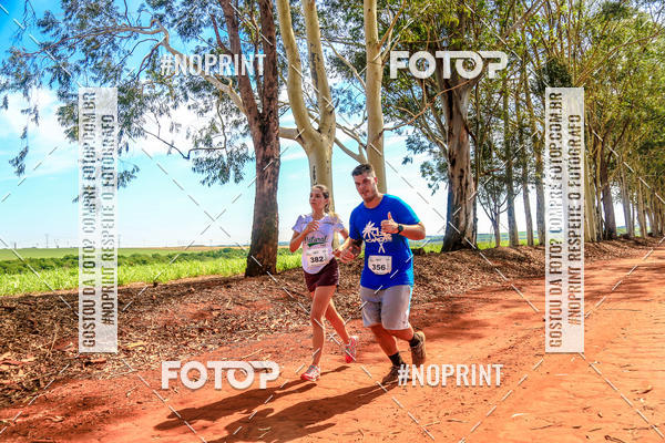 Acquista le foto dell'eventoNATURAL RUN - 2019 in Fotop