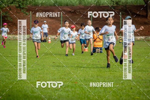 Buy your photos of the eventNATURAL RUN - 2019 on Fotop