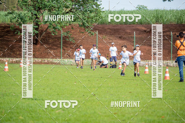 Buy your photos of the eventNATURAL RUN - 2019 on Fotop