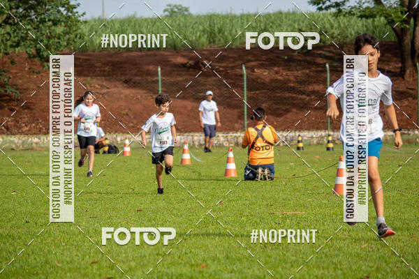 Buy your photos of the eventNATURAL RUN - 2019 on Fotop