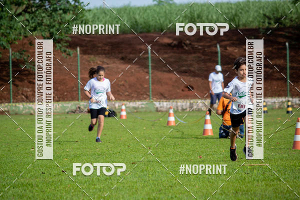 Buy your photos of the eventNATURAL RUN - 2019 on Fotop