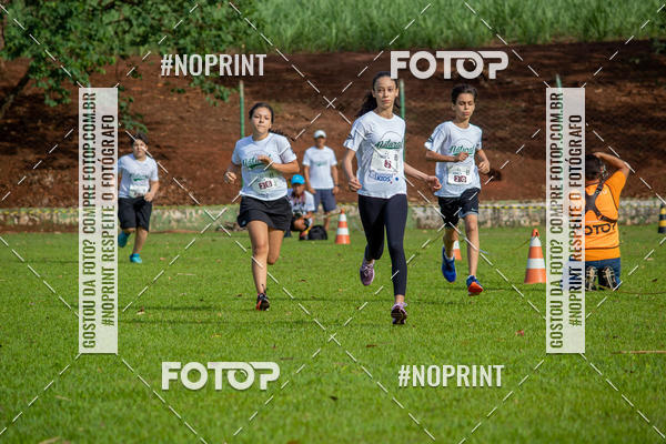 Buy your photos of the eventNATURAL RUN - 2019 on Fotop