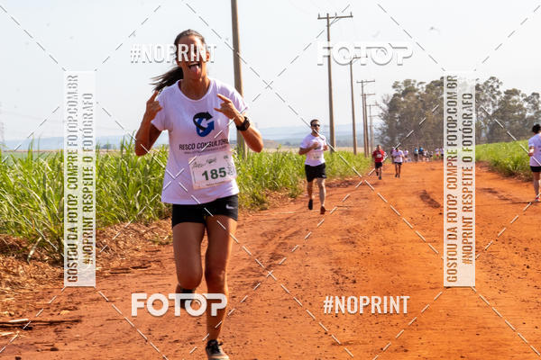 Buy your photos of the eventNATURAL RUN - 2019 on Fotop