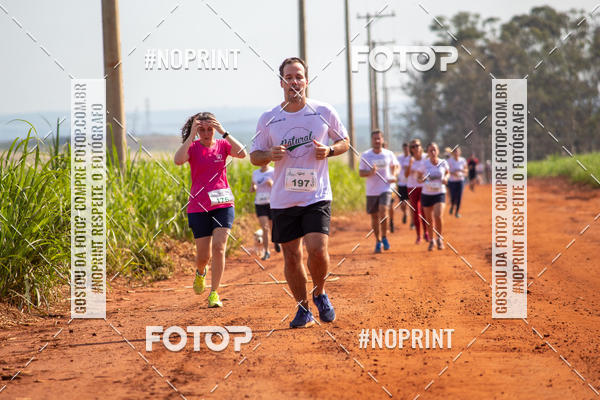 Buy your photos of the eventNATURAL RUN - 2019 on Fotop