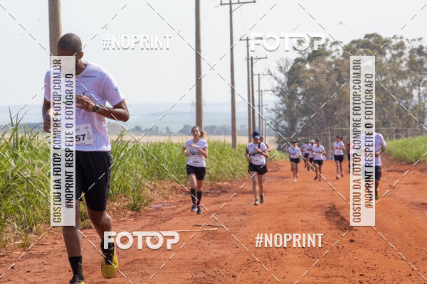 Buy your photos of the eventNATURAL RUN - 2019 on Fotop