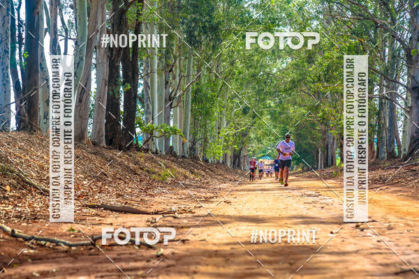 Acquista le foto dell'eventoNATURAL RUN - 2019 in Fotop