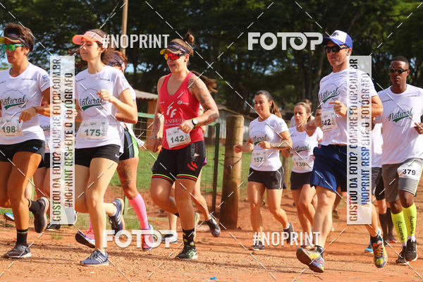 Buy your photos of the eventNATURAL RUN - 2019 on Fotop