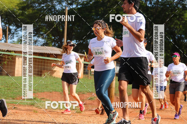 Buy your photos of the eventNATURAL RUN - 2019 on Fotop