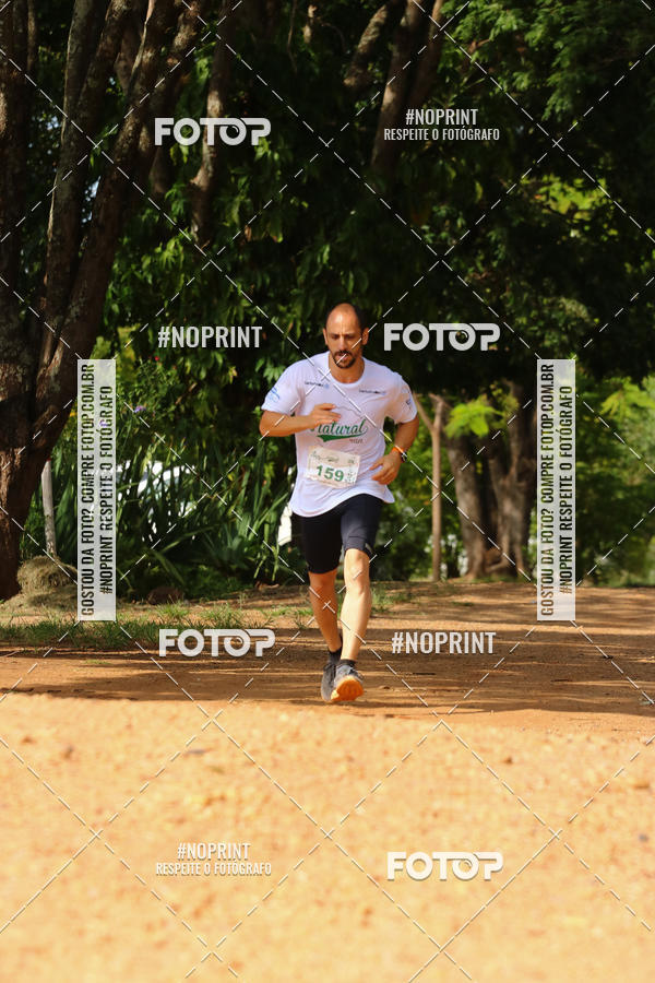 Buy your photos of the eventNATURAL RUN - 2019 on Fotop