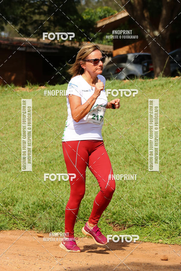 Buy your photos of the eventNATURAL RUN - 2019 on Fotop