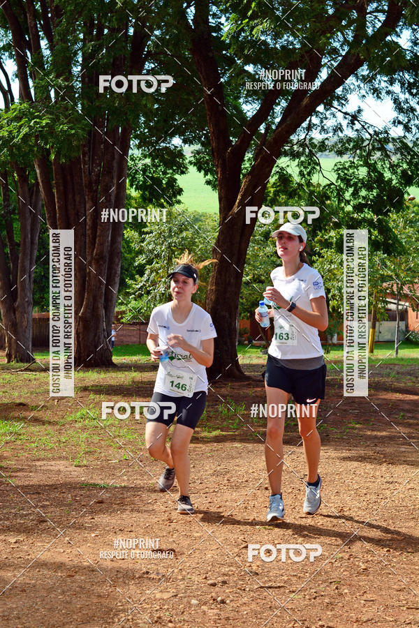 Buy your photos of the eventNATURAL RUN - 2019 on Fotop