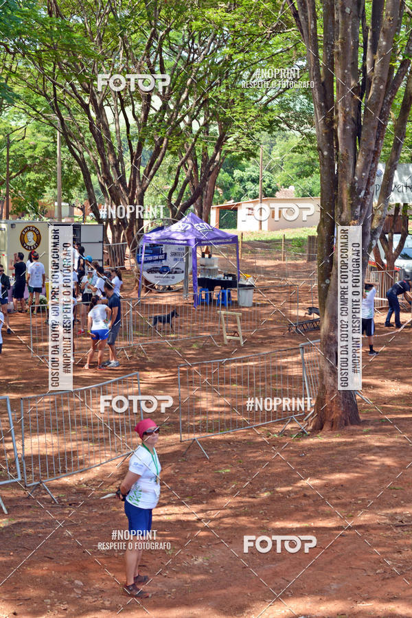 Buy your photos of the eventNATURAL RUN - 2019 on Fotop