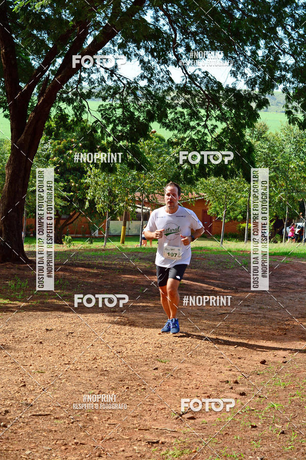 Buy your photos of the eventNATURAL RUN - 2019 on Fotop