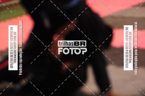 Buy your photos of the eventCIRCUITO EXTREME PRO DE JIU JITSU on Fotop