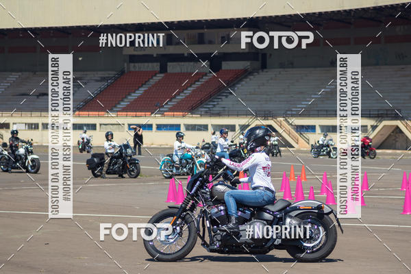 Compra tus fotos del eventoMoto Habilidade - Paulinia En Fotop