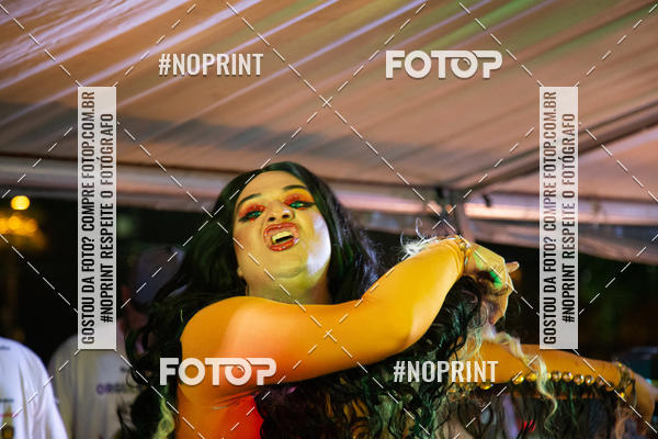 Buy your photos of the event2 Parada do Orgulho LGBT de PG on Fotop