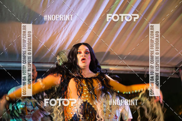 Buy your photos of the event2 Parada do Orgulho LGBT de PG on Fotop