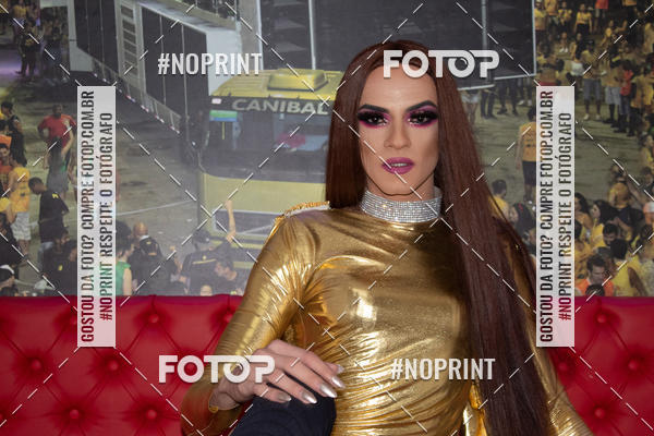 Buy your photos of the event2 Parada do Orgulho LGBT de PG on Fotop