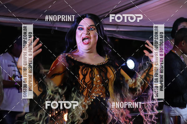 Buy your photos of the event2 Parada do Orgulho LGBT de PG on Fotop