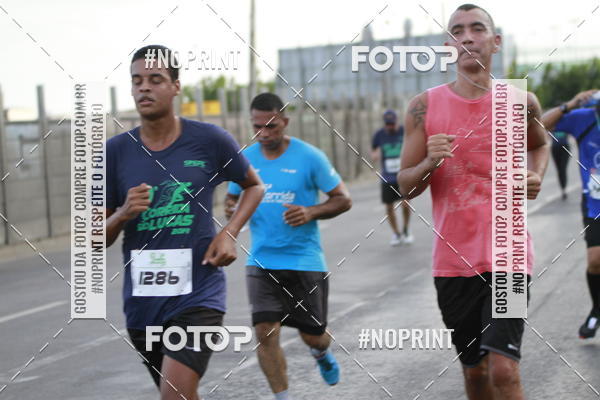 Acquista le foto dell'evento10 Corrida So Lucas in Fotop