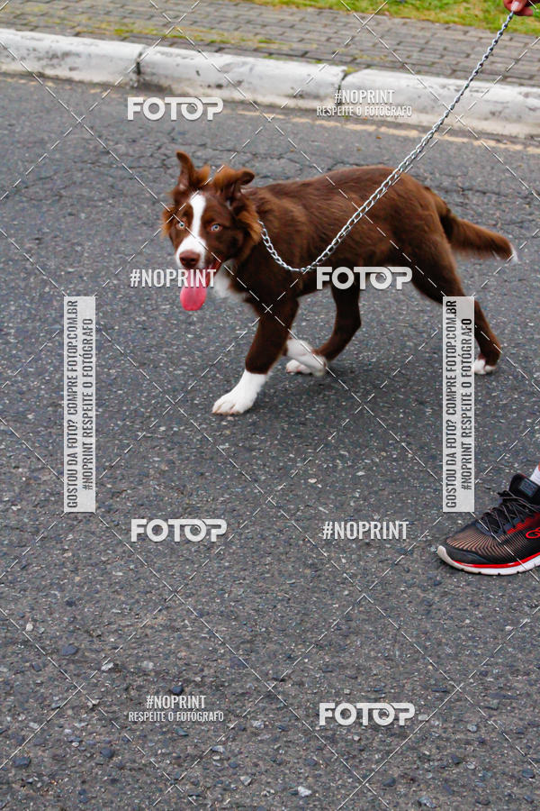 Buy your photos of the event4� Corrida do Fogo on Fotop