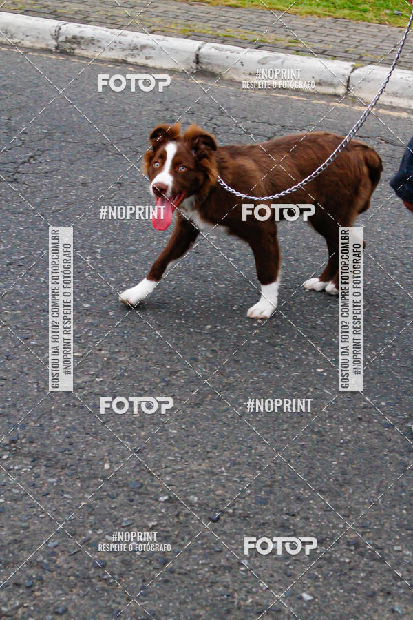 Buy your photos of the event4� Corrida do Fogo on Fotop