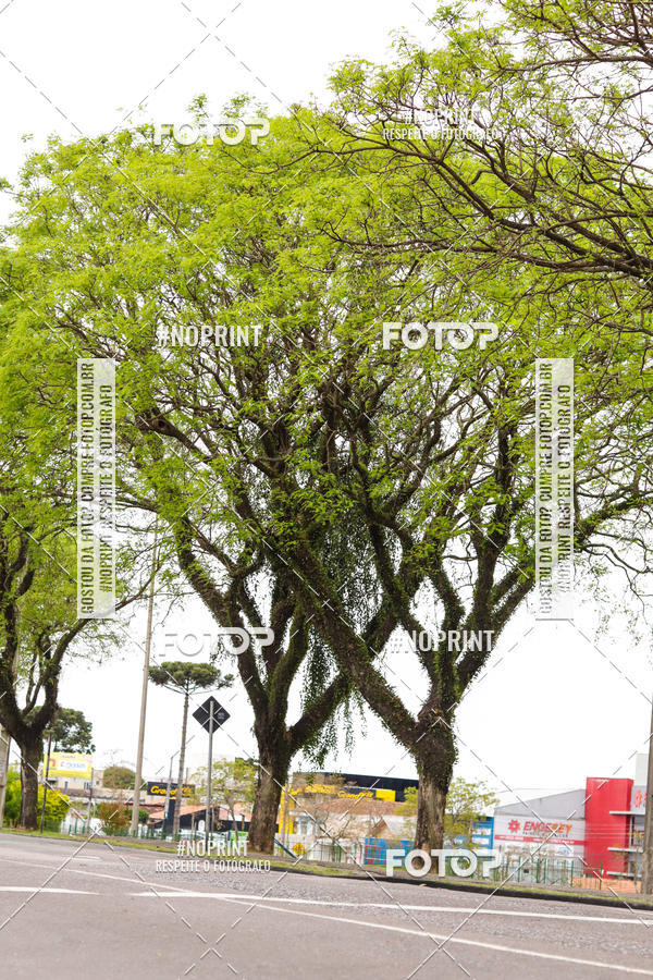 Buy your photos of the event4 Corrida do Fogo on Fotop