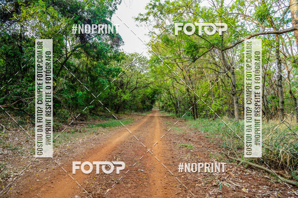Buy your photos of the event1 USP-RP Trail Race on Fotop