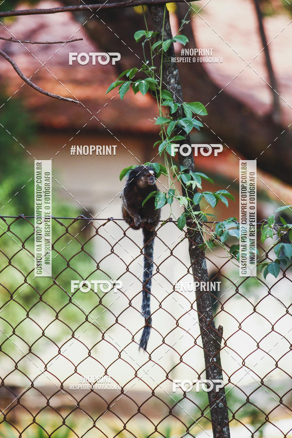 Buy your photos of the event1 USP-RP Trail Race on Fotop