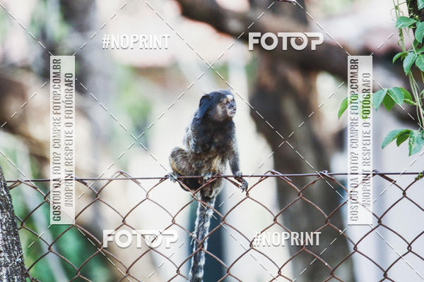 Buy your photos of the event1 USP-RP Trail Race on Fotop