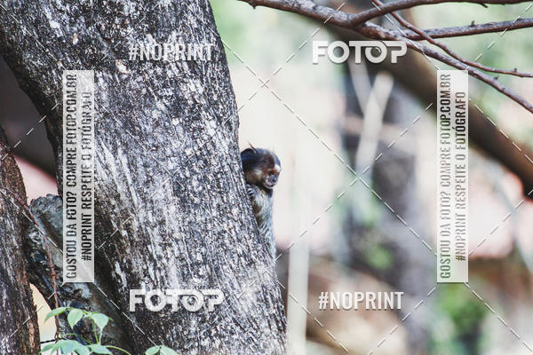 Buy your photos of the event1 USP-RP Trail Race on Fotop