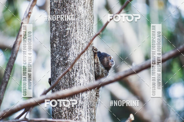Buy your photos of the event1 USP-RP Trail Race on Fotop