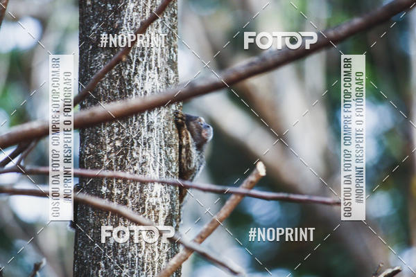 Buy your photos of the event1 USP-RP Trail Race on Fotop