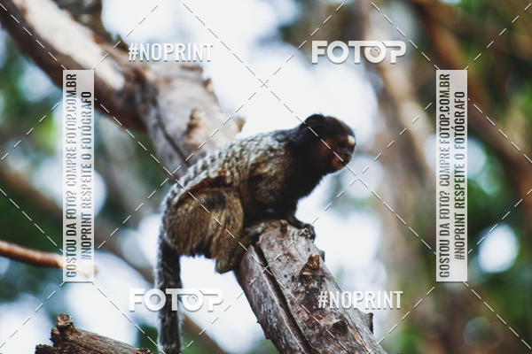 Buy your photos of the event1 USP-RP Trail Race on Fotop