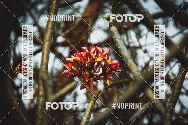Buy your photos of the event1 USP-RP Trail Race on Fotop