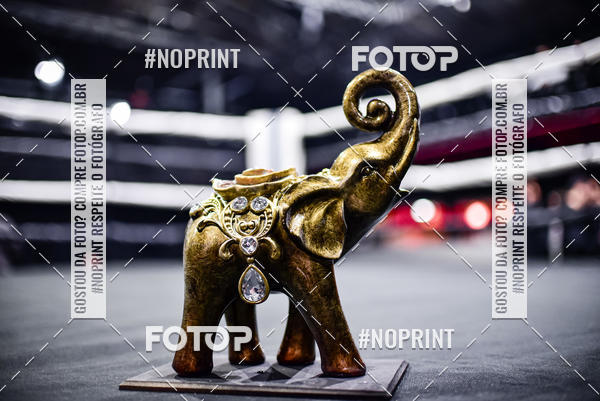 Buy your photos of the eventWAR Muay Thai Fight (22/09/2019) on Fotop