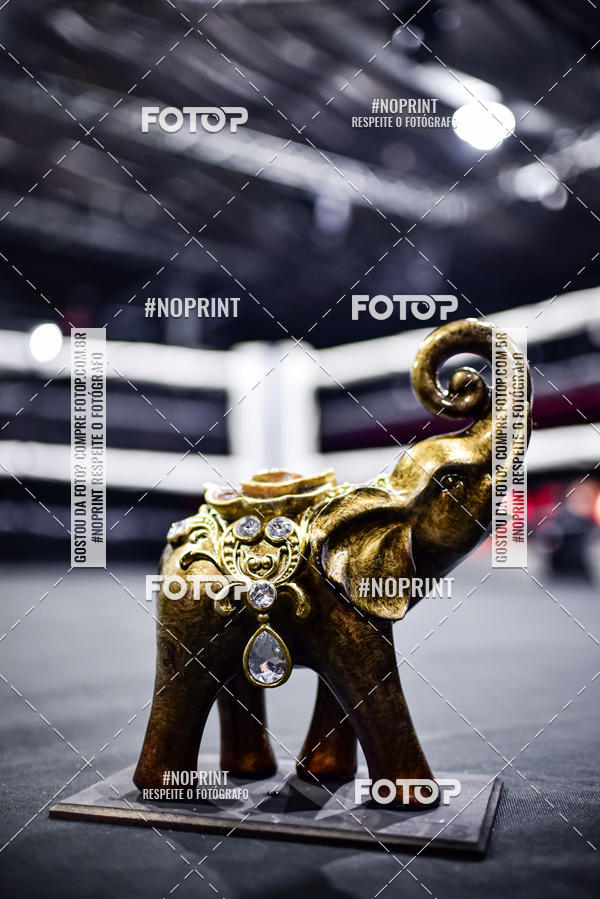 Buy your photos of the eventWAR Muay Thai Fight (22/09/2019) on Fotop