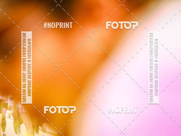Buy your photos of the eventColor Race Brasil - Florianpolis on Fotop