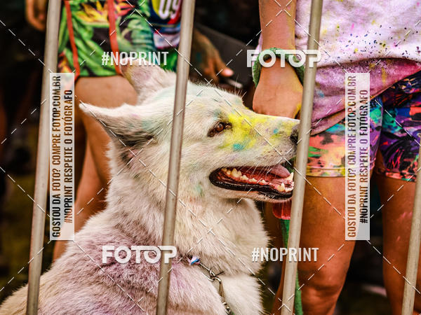 Buy your photos of the eventColor Race Brasil - Florianpolis on Fotop