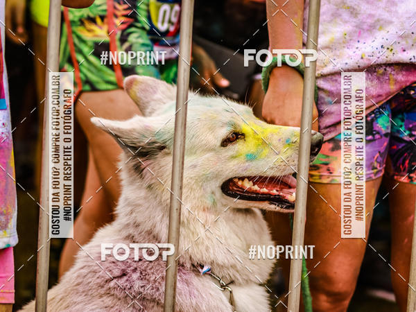 Buy your photos of the eventColor Race Brasil - Florianpolis on Fotop