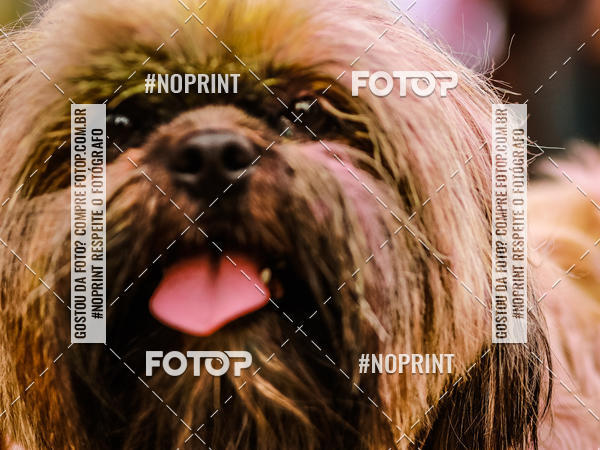 Buy your photos of the eventColor Race Brasil - Florianpolis on Fotop