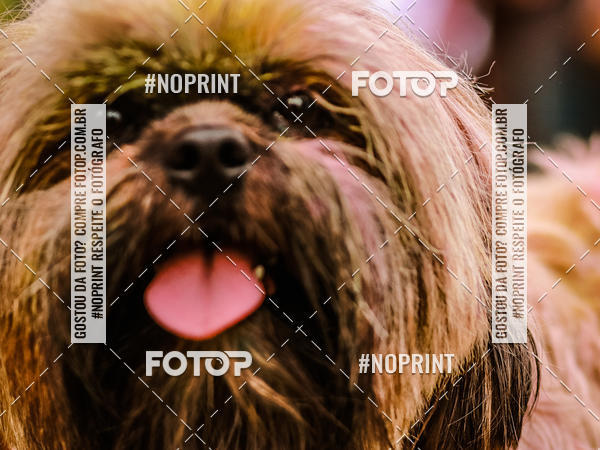 Buy your photos of the eventColor Race Brasil - Florianpolis on Fotop
