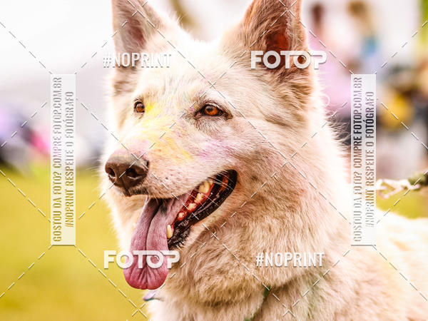 Buy your photos of the eventColor Race Brasil - Florianpolis on Fotop